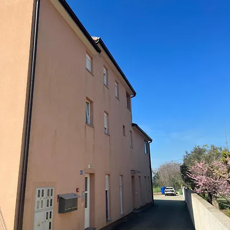 Apartment Ana